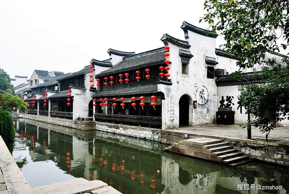 救援小巨鳄